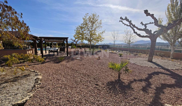 Odsprzedaż - Villa - Sax - Inland