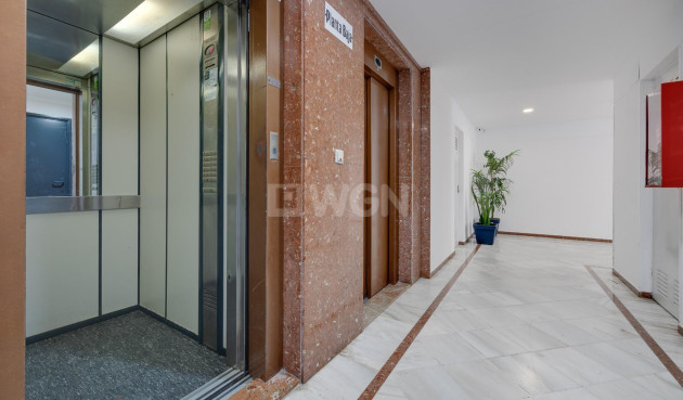 Odsprzedaż - Mieszkanie w bloku - Torrevieja - La Veleta