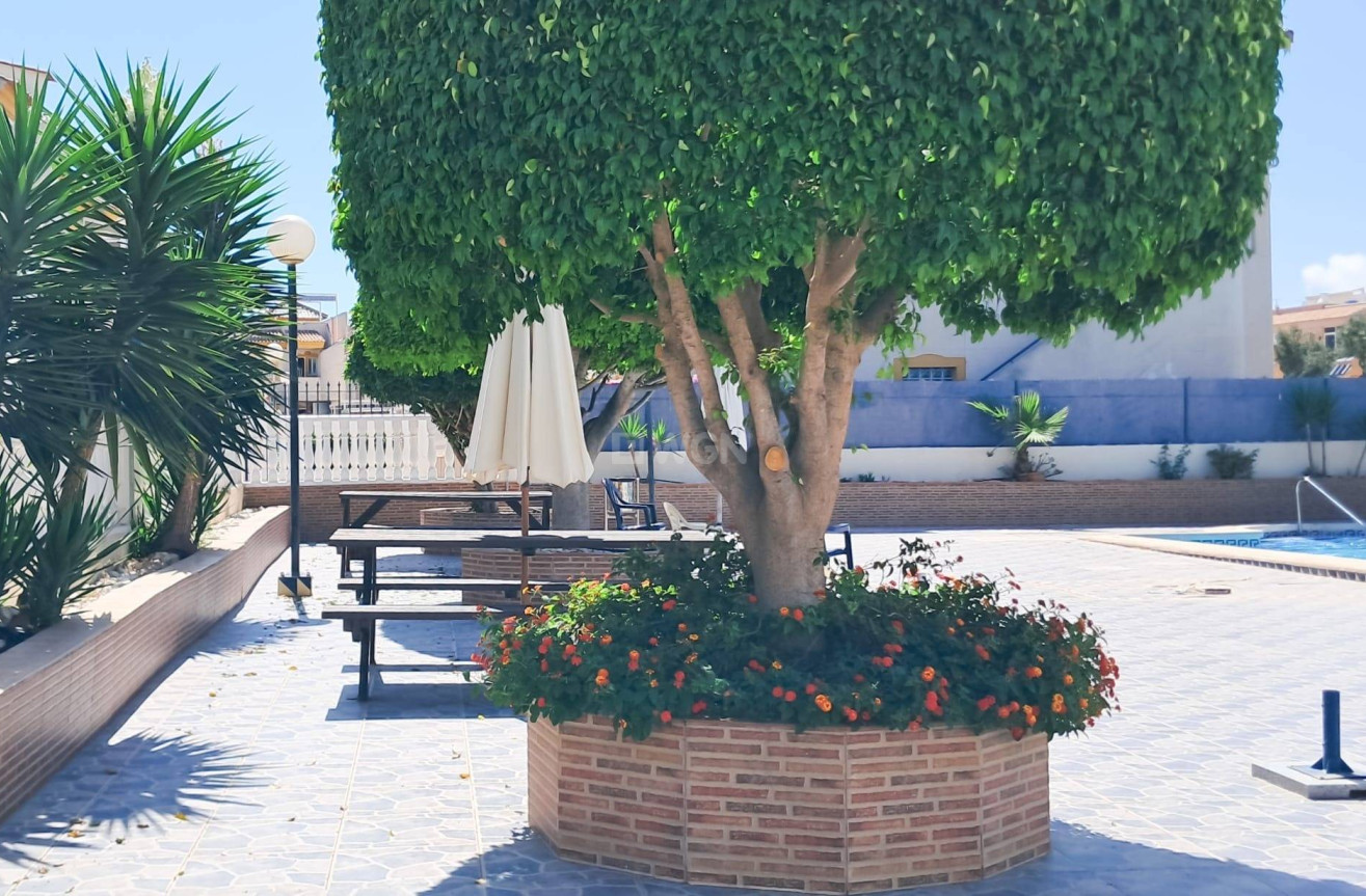 Odsprzedaż - Mieszkanie w bloku - Torrevieja - Parque Acuático - Sector 25