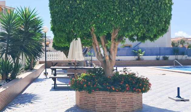 Odsprzedaż - Mieszkanie w bloku - Torrevieja - Parque Acuático - Sector 25