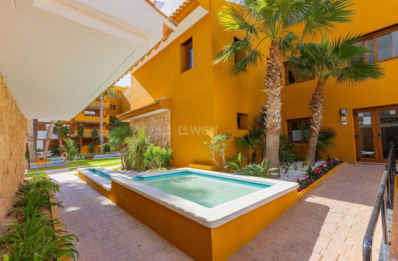 Odsprzedaż - Mieszkanie w bloku - Torrevieja - Punta Prima