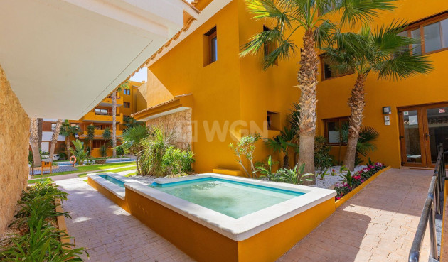 Odsprzedaż - Mieszkanie w bloku - Torrevieja - Punta Prima
