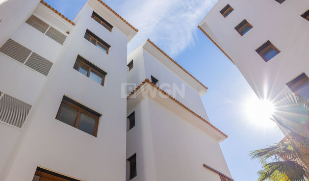 Odsprzedaż - Mieszkanie w bloku - Torrevieja - Punta Prima