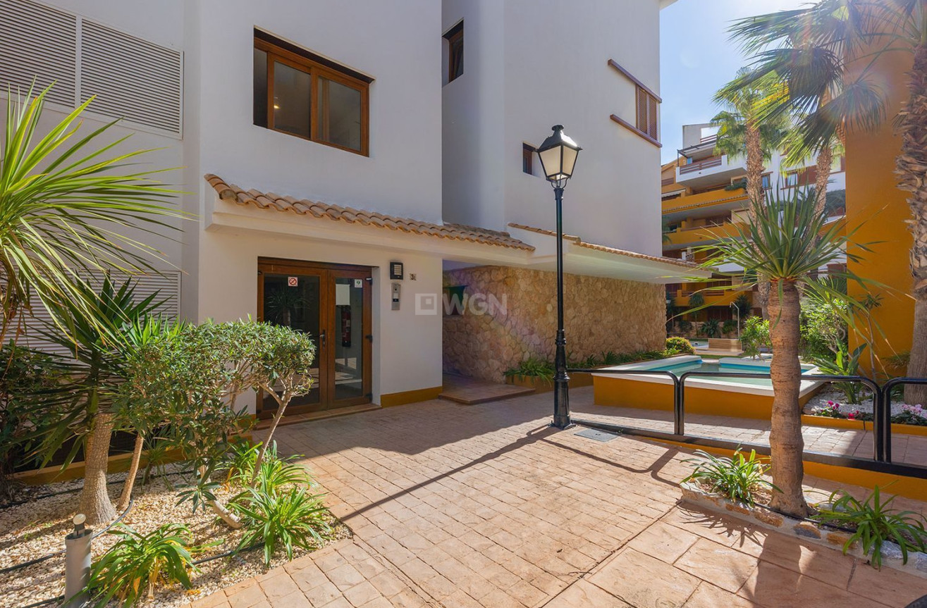 Odsprzedaż - Mieszkanie w bloku - Torrevieja - Punta Prima