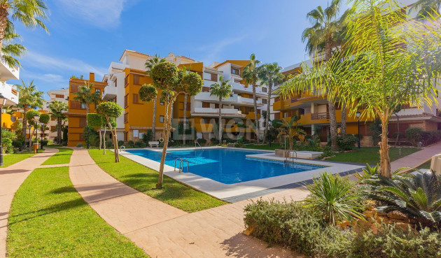 Odsprzedaż - Mieszkanie w bloku - Torrevieja - Punta Prima