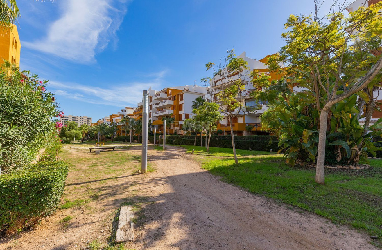 Odsprzedaż - Mieszkanie w bloku - Torrevieja - Punta Prima