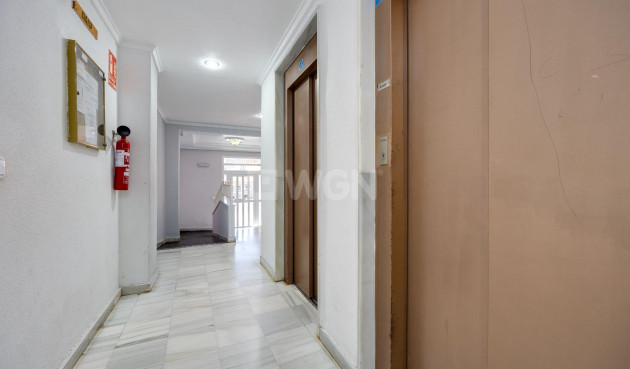 Odsprzedaż - Mieszkanie w bloku - Guardamar del Segura - Pueblo