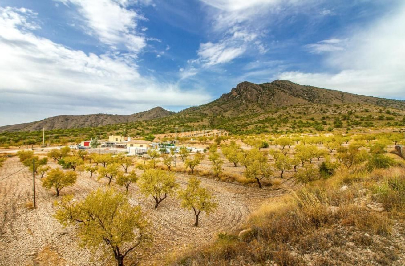 Odsprzedaż - Villa - Jumilla - Inland