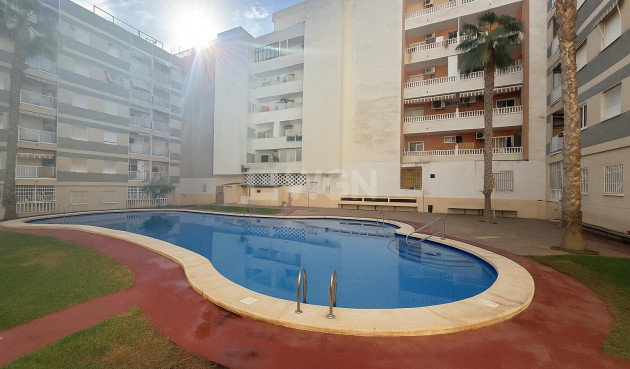 Reventa - Apartamento / piso - Torrevieja - Habaneras