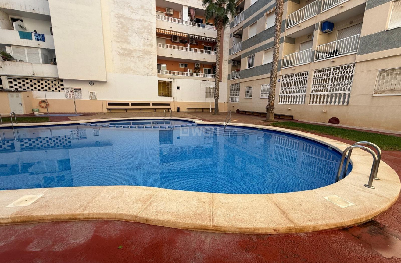 Reventa - Apartamento / piso - Torrevieja - Habaneras