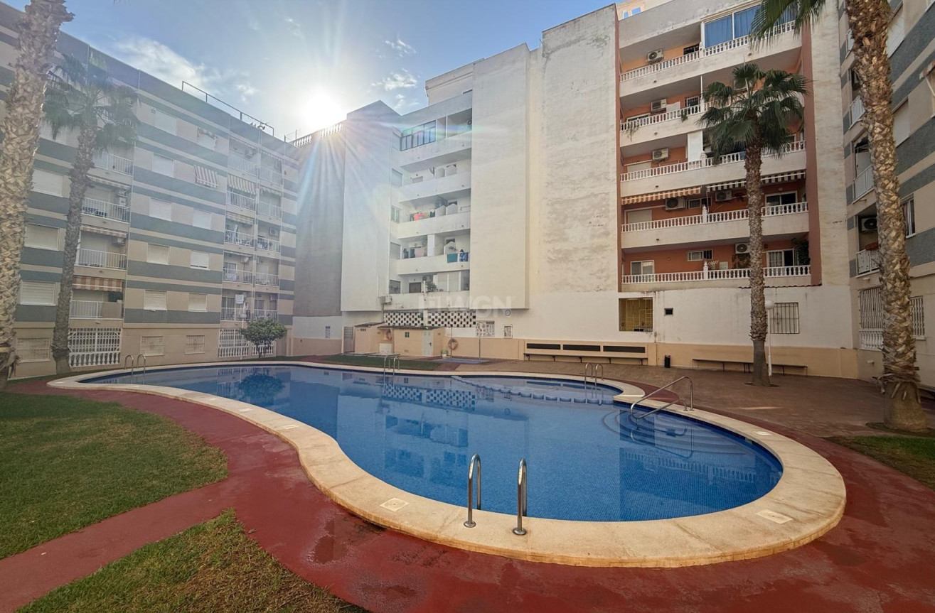 Reventa - Apartamento / piso - Torrevieja - Habaneras