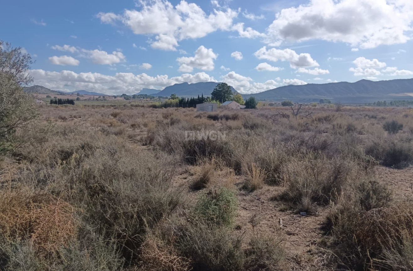 Odsprzedaż - Działka / Grunt - Salinas - Inland