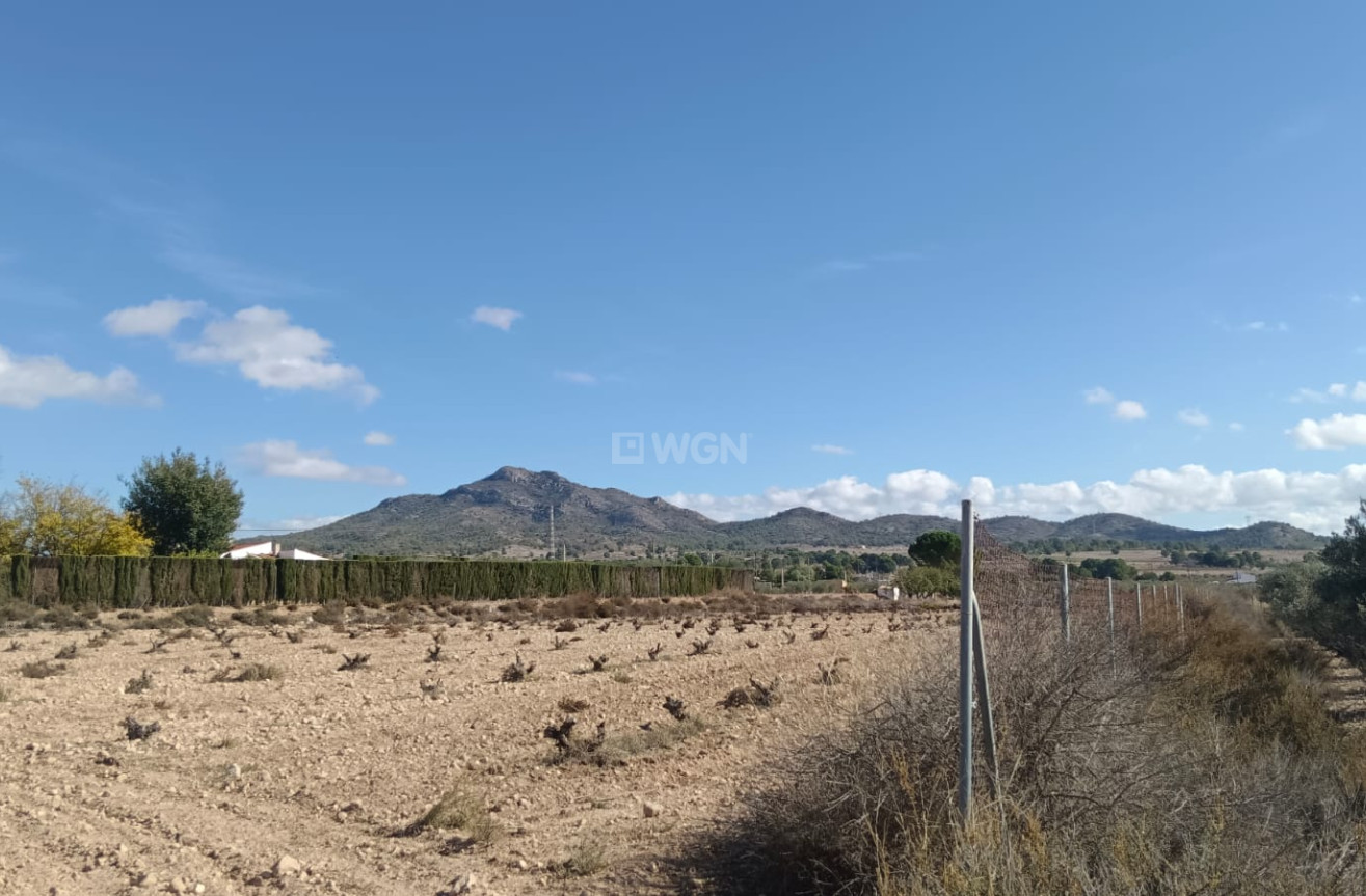 Odsprzedaż - Działka / Grunt - Salinas - Inland