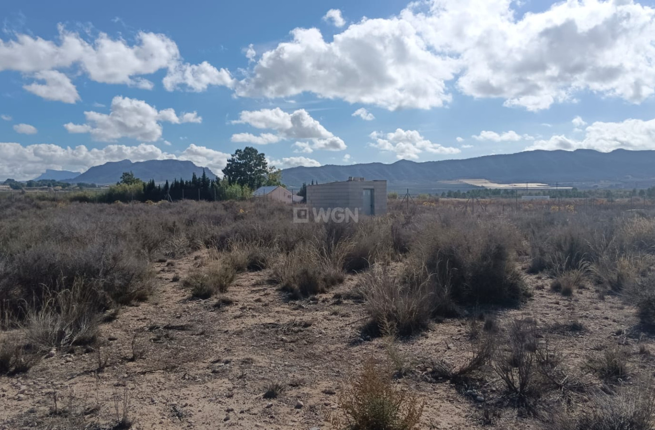 Odsprzedaż - Działka / Grunt - Salinas - Inland