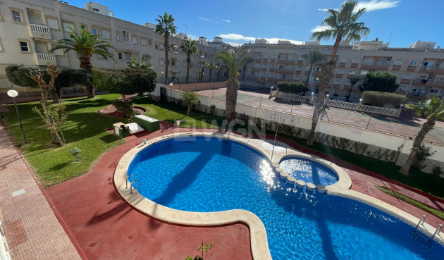 Odsprzedaż - Mieszkanie w bloku - Torrevieja - Costa Blanca