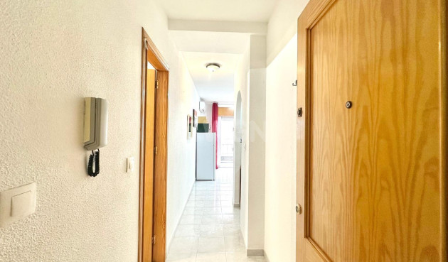 Odsprzedaż - Mieszkanie w bloku - Torrevieja - Acequion