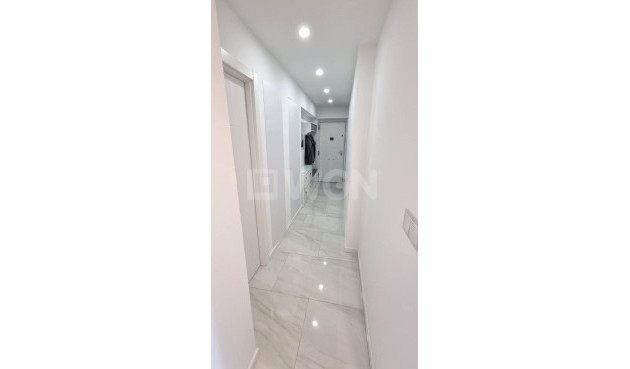 Odsprzedaż - Mieszkanie w bloku - Torrevieja - Centro