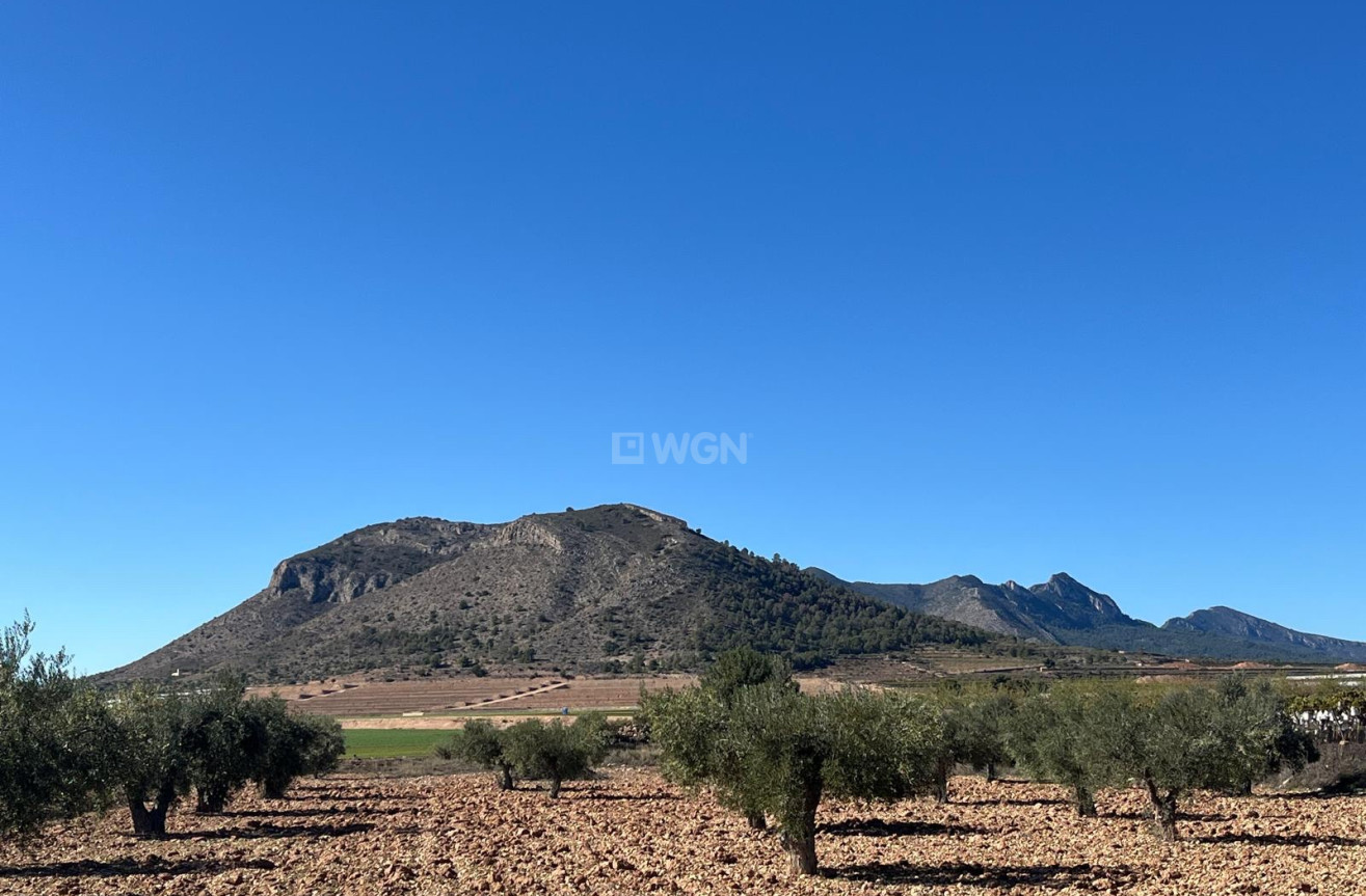 Odsprzedaż - Działka / Grunt - La Romana - Inland