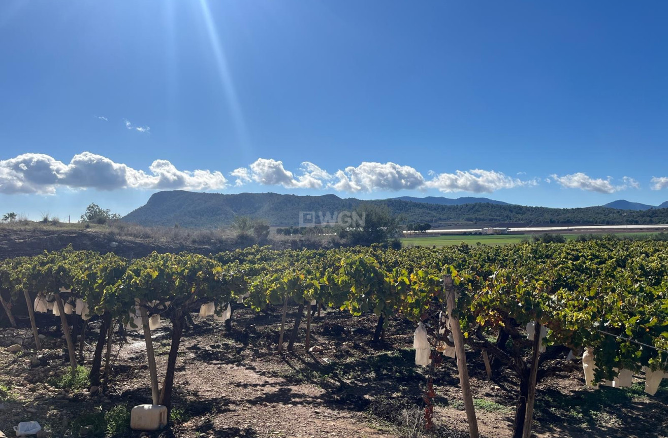 Odsprzedaż - Działka / Grunt - La Romana - Inland