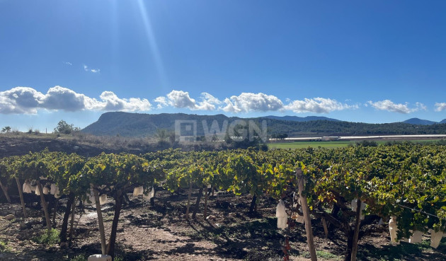 Odsprzedaż - Działka / Grunt - La Romana - Inland