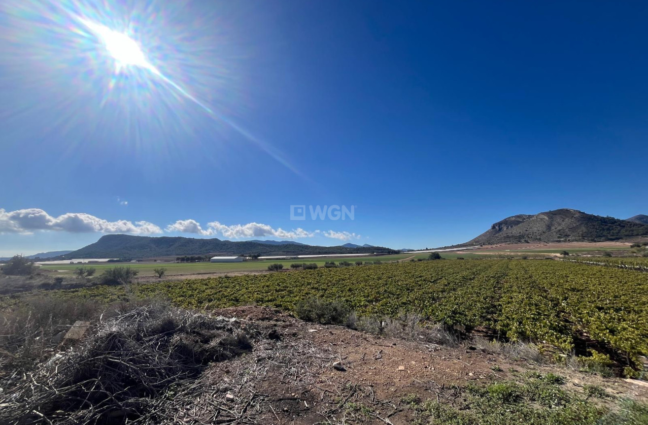 Odsprzedaż - Działka / Grunt - La Romana - Inland