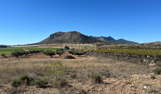 Odsprzedaż - Działka / Grunt - La Romana - Inland