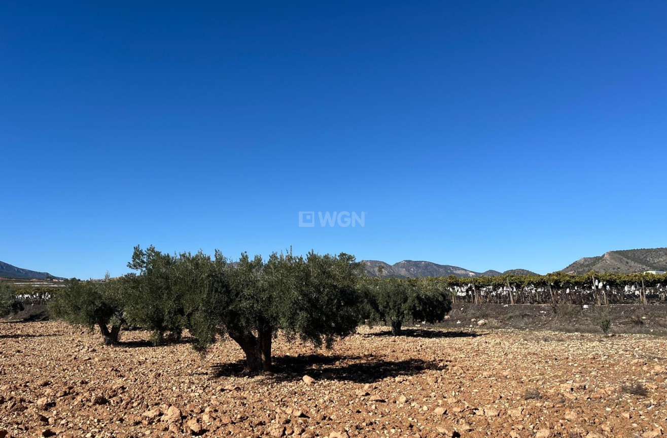 Odsprzedaż - Działka / Grunt - La Romana - Inland