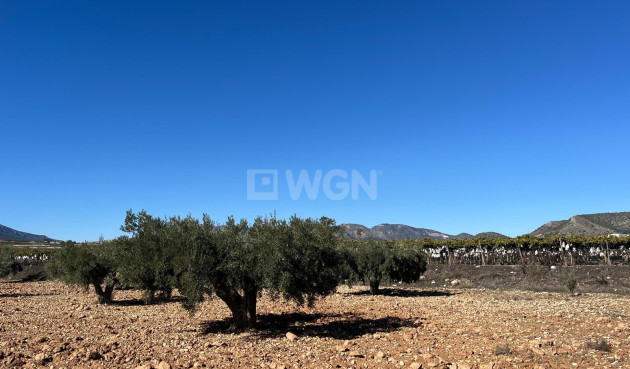 Odsprzedaż - Działka / Grunt - La Romana - Inland