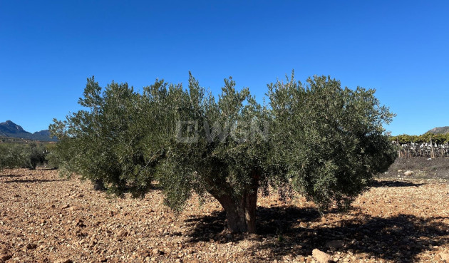 Odsprzedaż - Działka / Grunt - La Romana - Inland