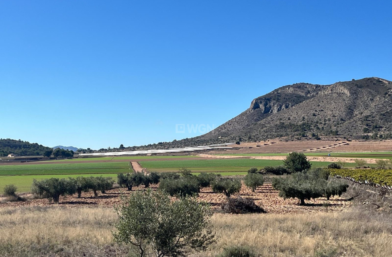 Odsprzedaż - Działka / Grunt - La Romana - Inland