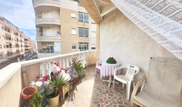 Odsprzedaż - Daszek - Torrevieja - Estacion De Autobuses