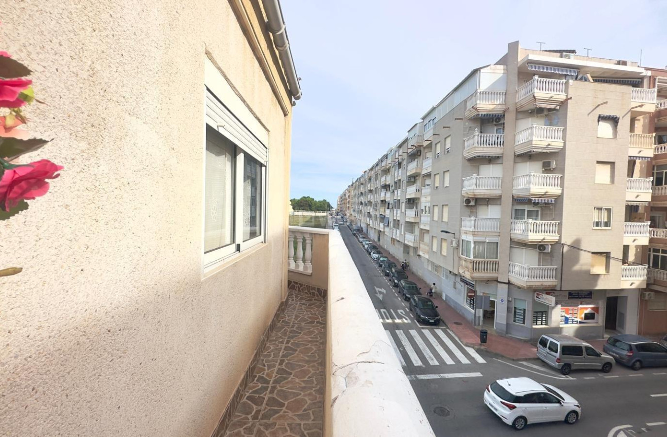 Odsprzedaż - Daszek - Torrevieja - Estacion De Autobuses