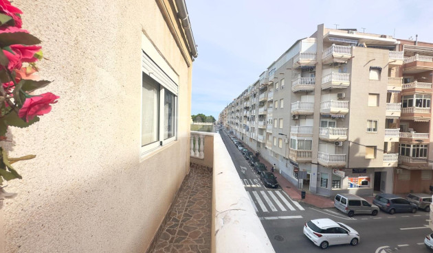 Odsprzedaż - Daszek - Torrevieja - Estacion De Autobuses