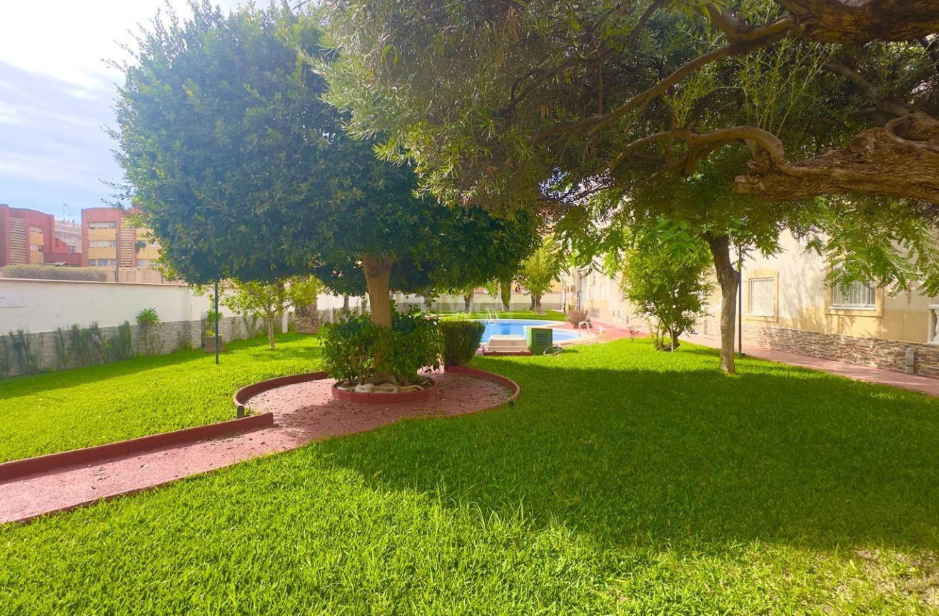 Odsprzedaż - Daszek - Torrevieja - Estacion De Autobuses