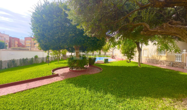 Odsprzedaż - Daszek - Torrevieja - Estacion De Autobuses