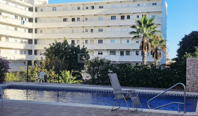 Odsprzedaż - Mieszkanie w bloku - Torrevieja - Torreblanca