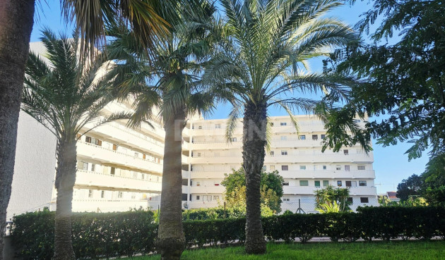 Odsprzedaż - Mieszkanie w bloku - Torrevieja - Torreblanca