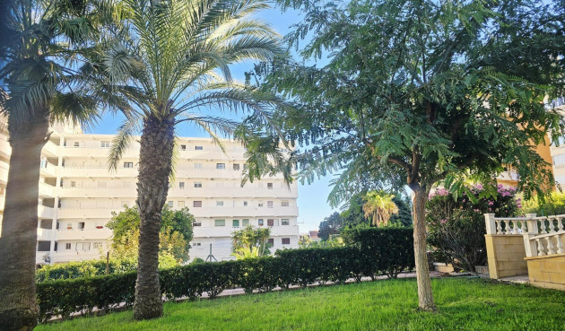 Odsprzedaż - Mieszkanie w bloku - Torrevieja - Torreblanca