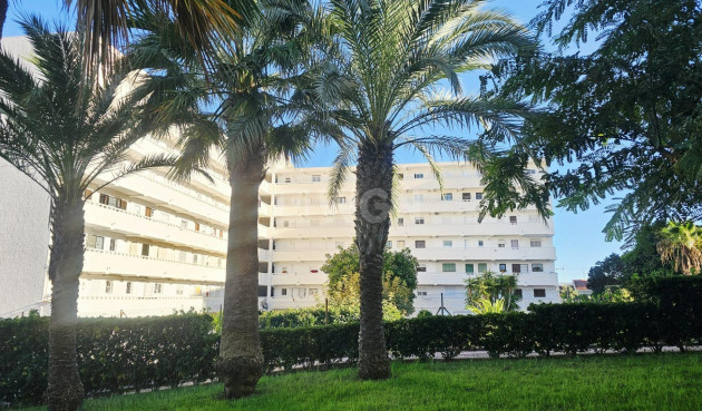 Odsprzedaż - Mieszkanie w bloku - Torrevieja - Torreblanca