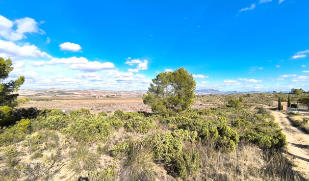 Odsprzedaż - Villa - Yecla - Inland