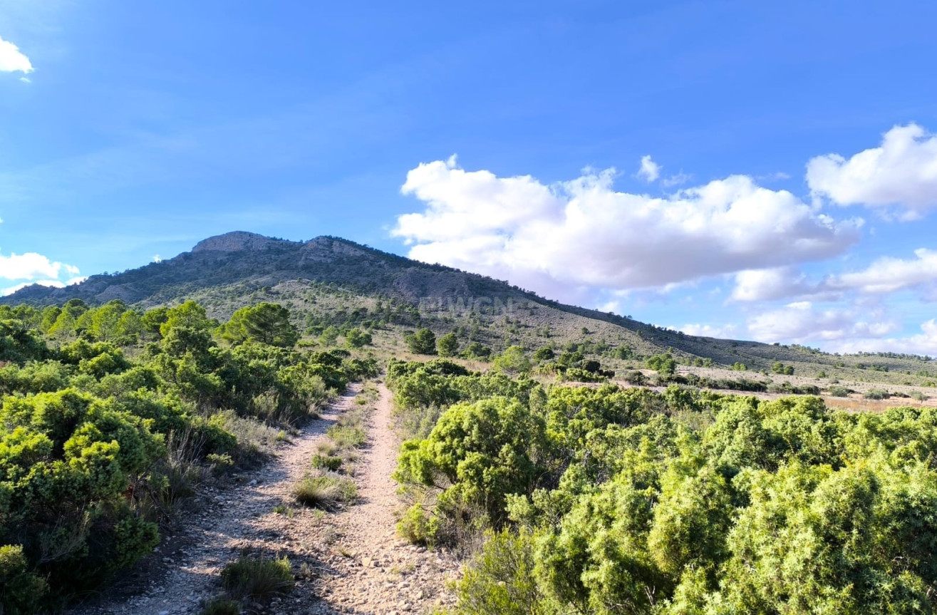 Odsprzedaż - Villa - Yecla - Inland