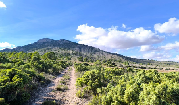 Odsprzedaż - Villa - Yecla - Inland