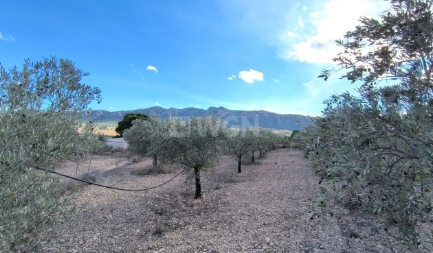 Odsprzedaż - Villa - Yecla - Inland