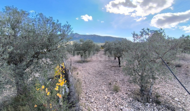 Odsprzedaż - Villa - Yecla - Inland