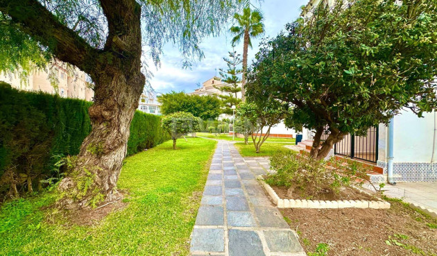 Odsprzedaż - Mieszkanie w bloku - Torrevieja - Estacion De Autobuses