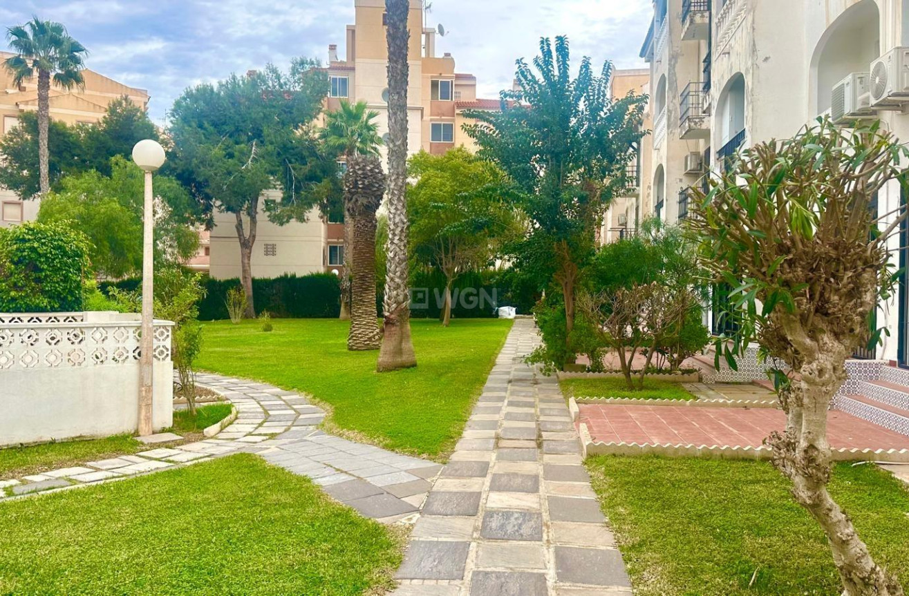 Odsprzedaż - Mieszkanie w bloku - Torrevieja - Estacion De Autobuses