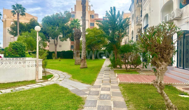 Odsprzedaż - Mieszkanie w bloku - Torrevieja - Estacion De Autobuses