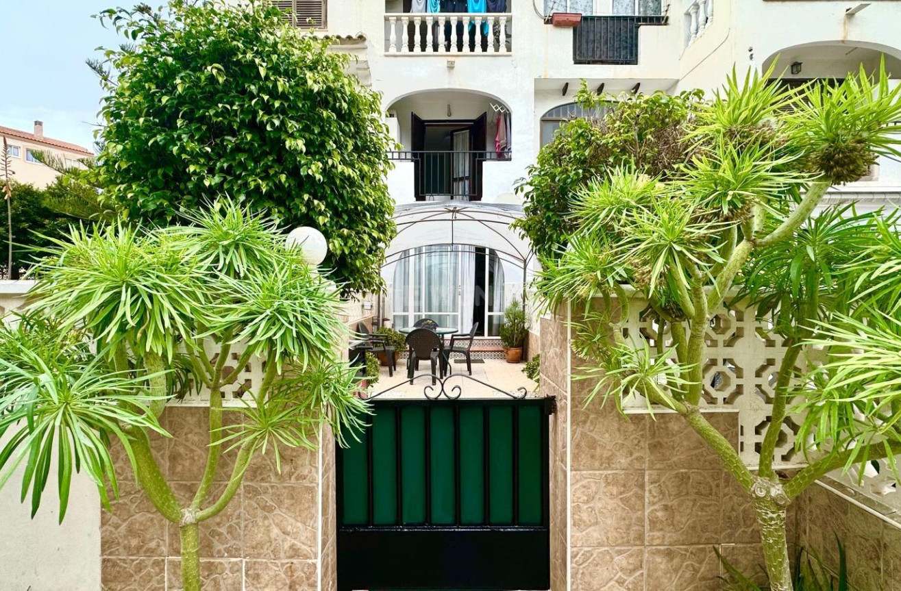 Odsprzedaż - Mieszkanie w bloku - Torrevieja - Estacion De Autobuses