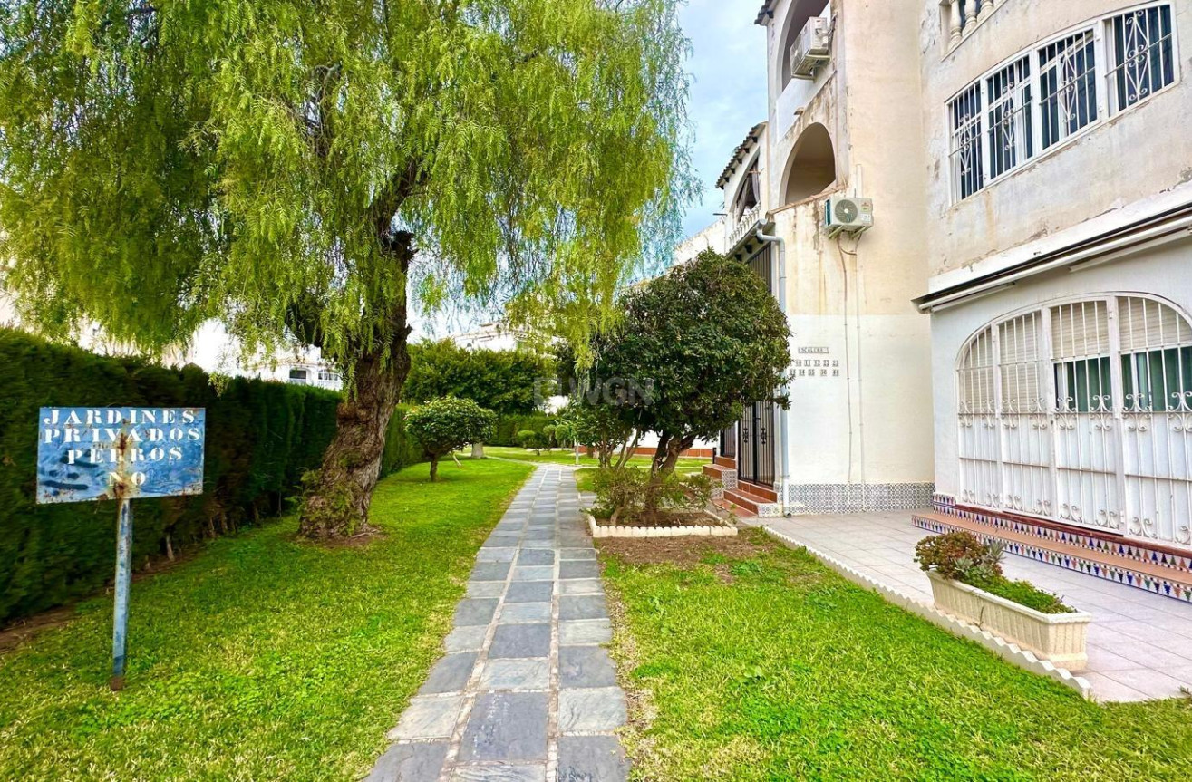 Odsprzedaż - Mieszkanie w bloku - Torrevieja - Estacion De Autobuses