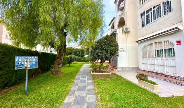 Odsprzedaż - Mieszkanie w bloku - Torrevieja - Estacion De Autobuses